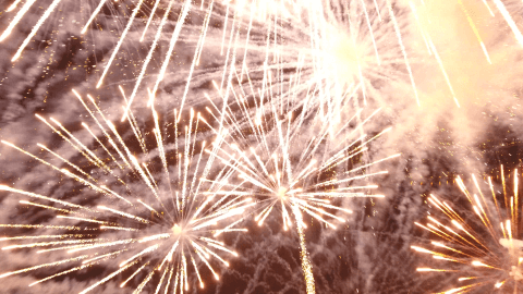 DJI_0923.00_00_07_08.Still003